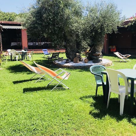Agriturismo Su Barraccu Loceri 외부 사진