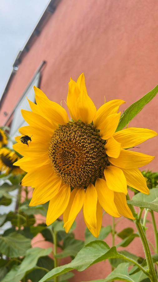 Agriturismo Su Barraccu Loceri 외부 사진
