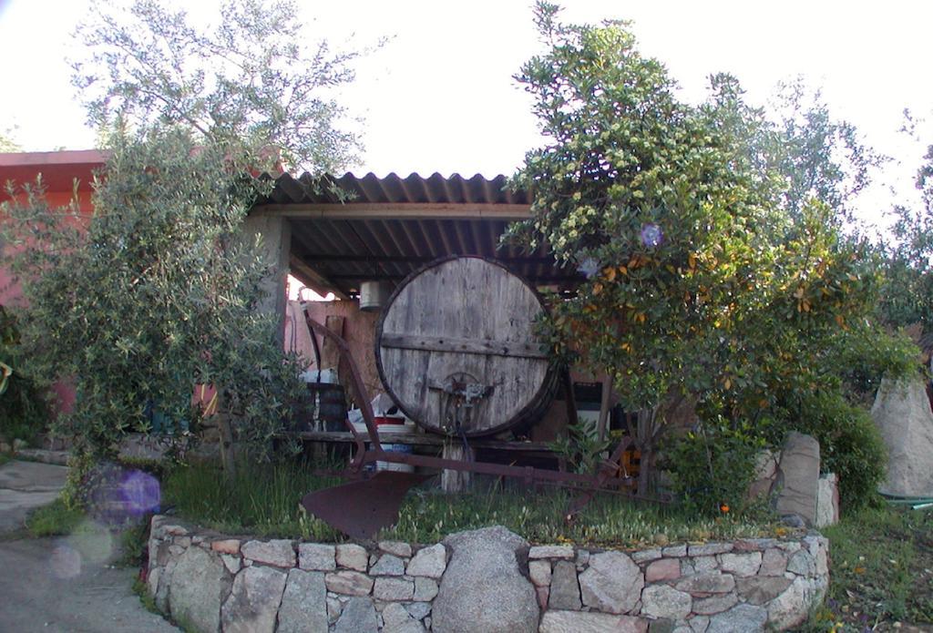 Agriturismo Su Barraccu Loceri 외부 사진