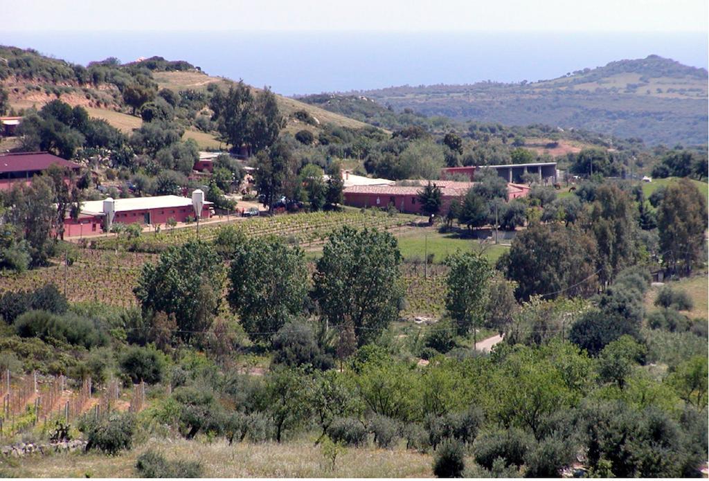 Loceri Agriturismo Su Barraccu 빌라 외부 사진