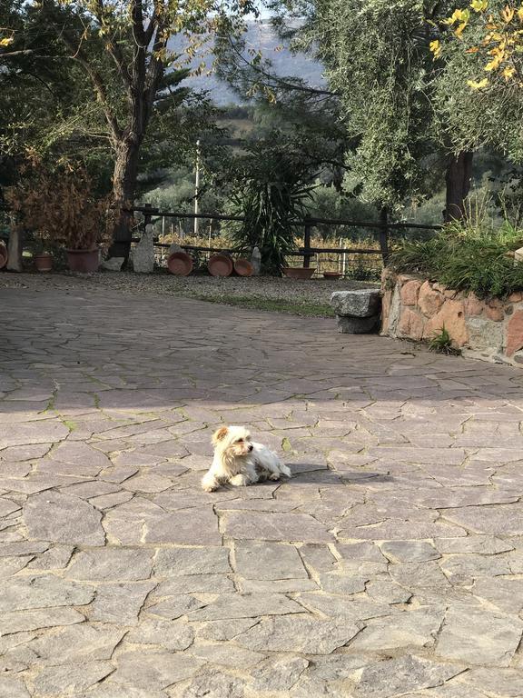 Agriturismo Su Barraccu Loceri 외부 사진
