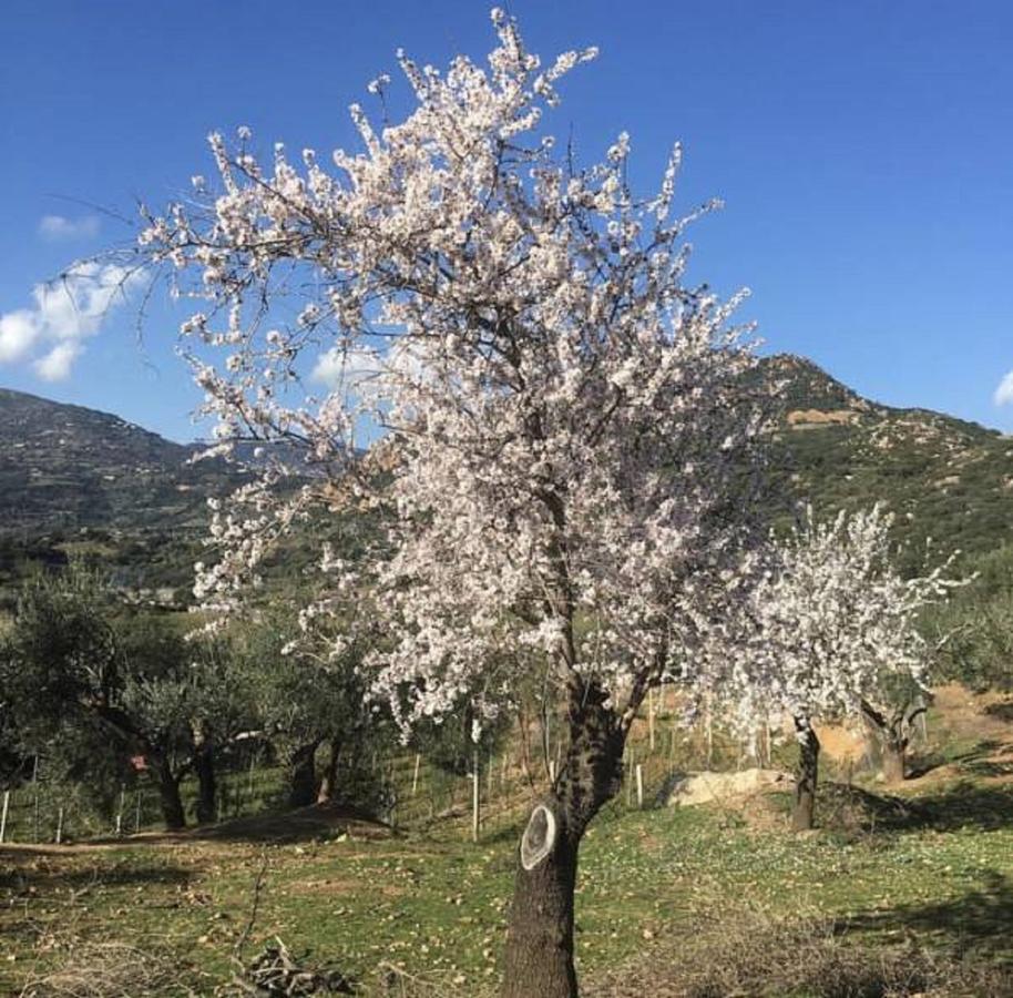 Loceri Agriturismo Su Barraccu 빌라 외부 사진