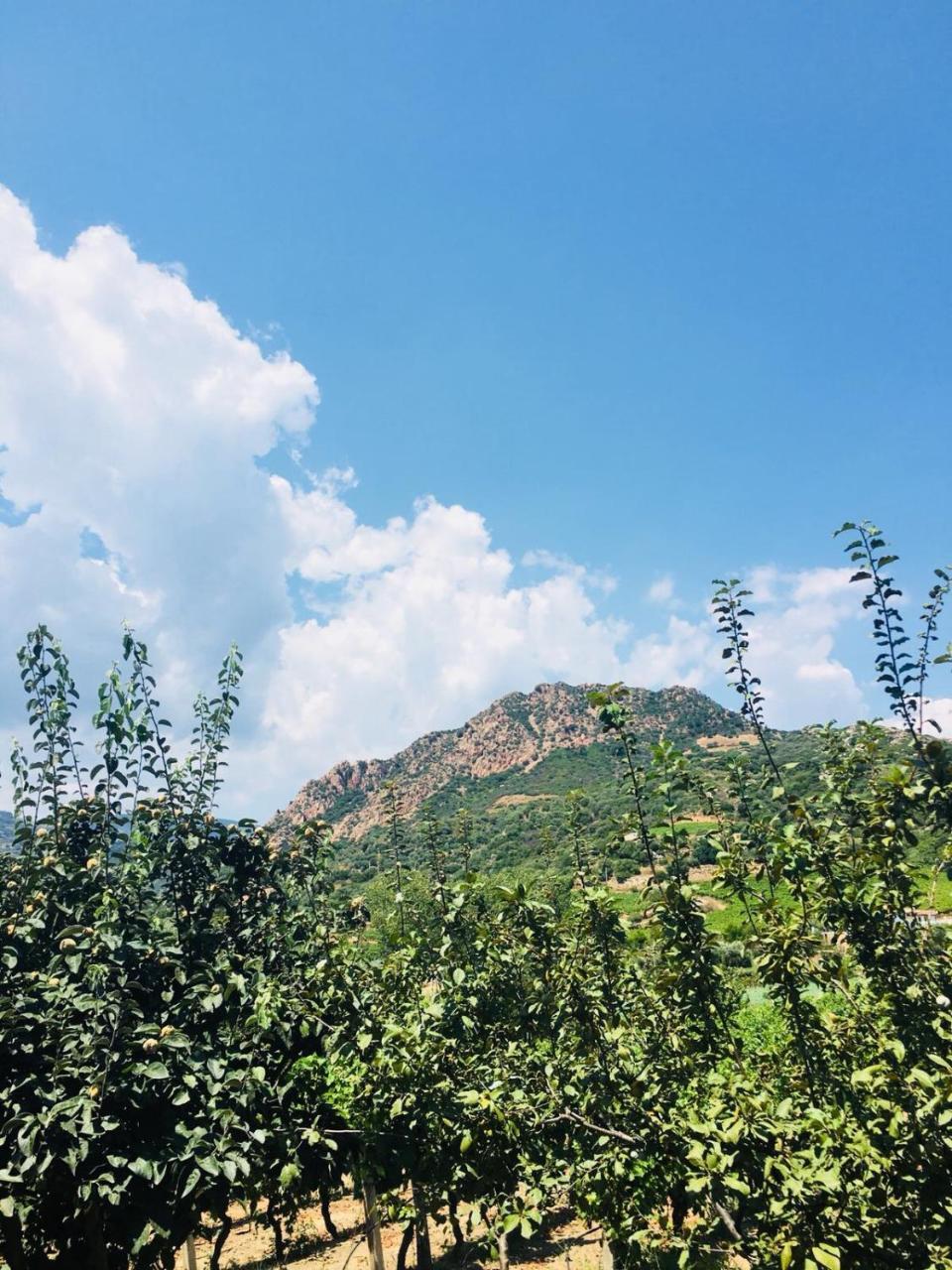 Agriturismo Su Barraccu Loceri 외부 사진