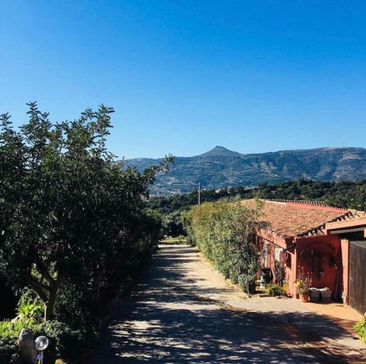 Agriturismo Su Barraccu Loceri 외부 사진