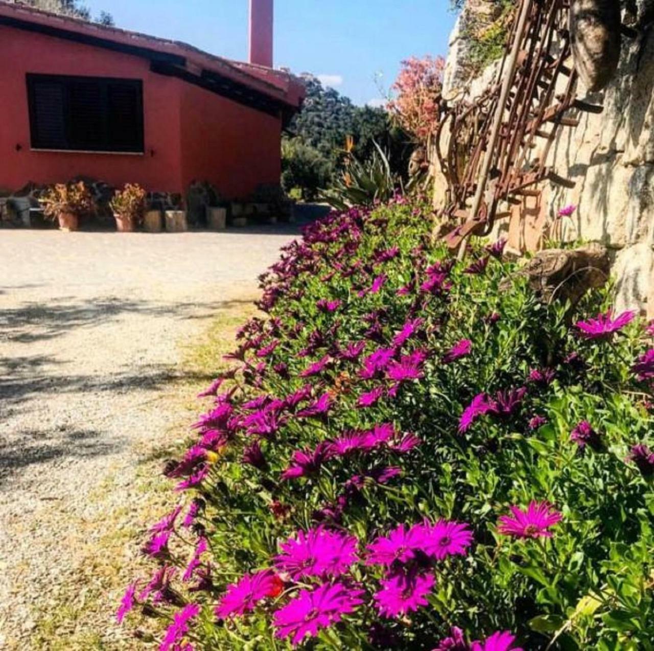 Agriturismo Su Barraccu Loceri 외부 사진